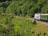 DSC_7686.JPG