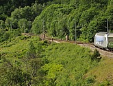 DSC_7687.JPG
