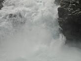 DSC_7694.JPG