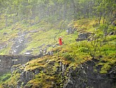 DSC_7697.JPG