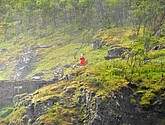 DSC_7698-1.JPG