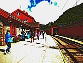 DSC_7717.JPG