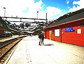 DSC_7720.JPG