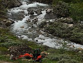 DSC_7731.JPG
