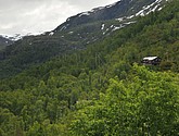 DSC_7736.JPG