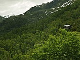 DSC_7744.JPG