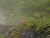 DSC_7758.JPG