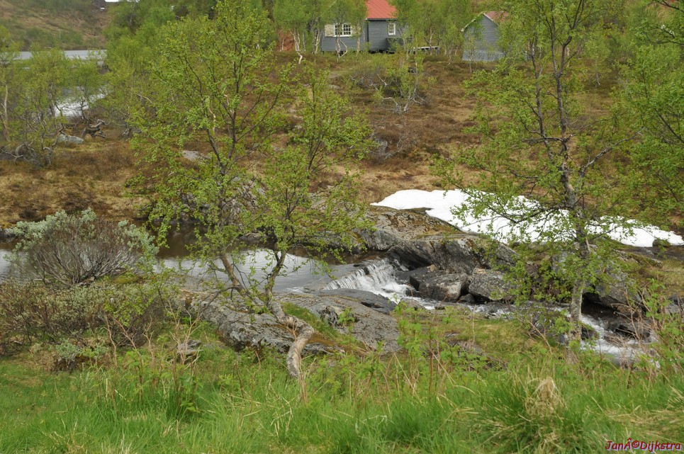 dsc_1925.jpg