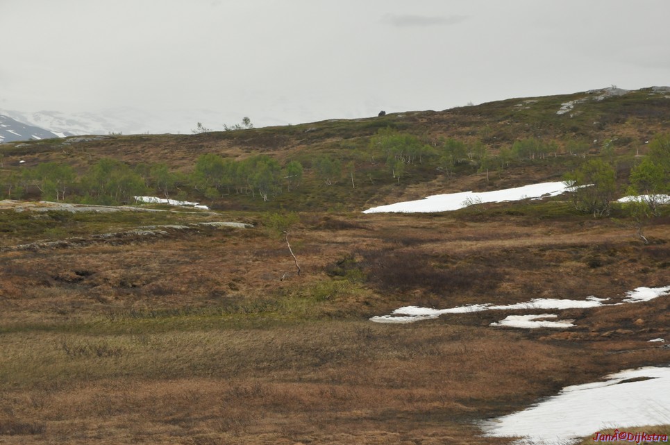 dsc_1931.jpg