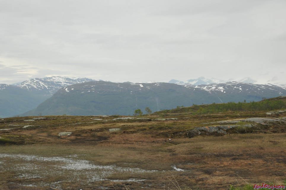 dsc_1932.jpg