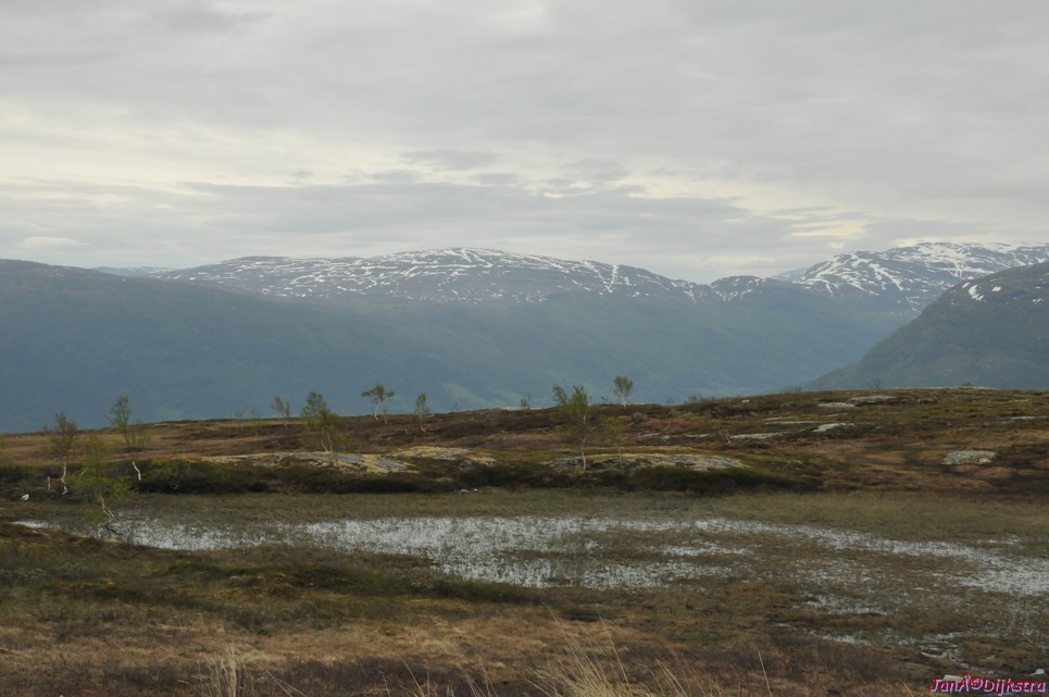 dsc_1933.jpg