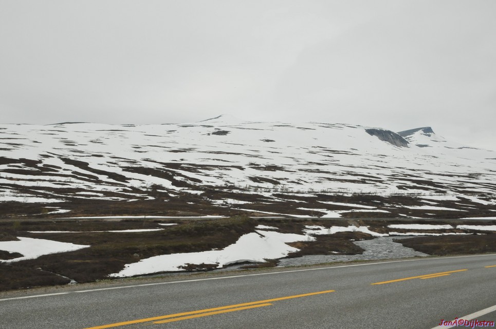 dsc_1954.jpg