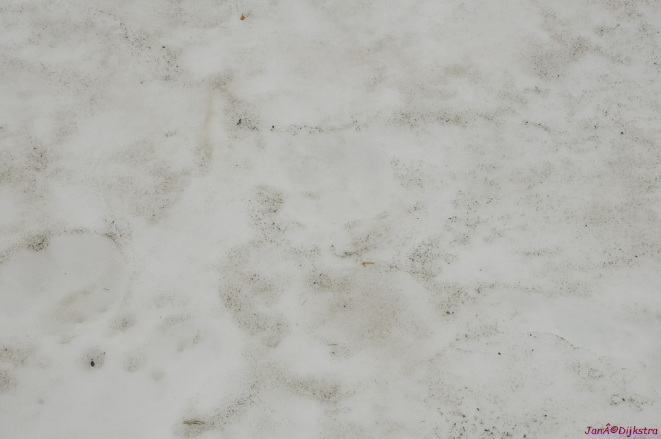 dsc_1958.jpg