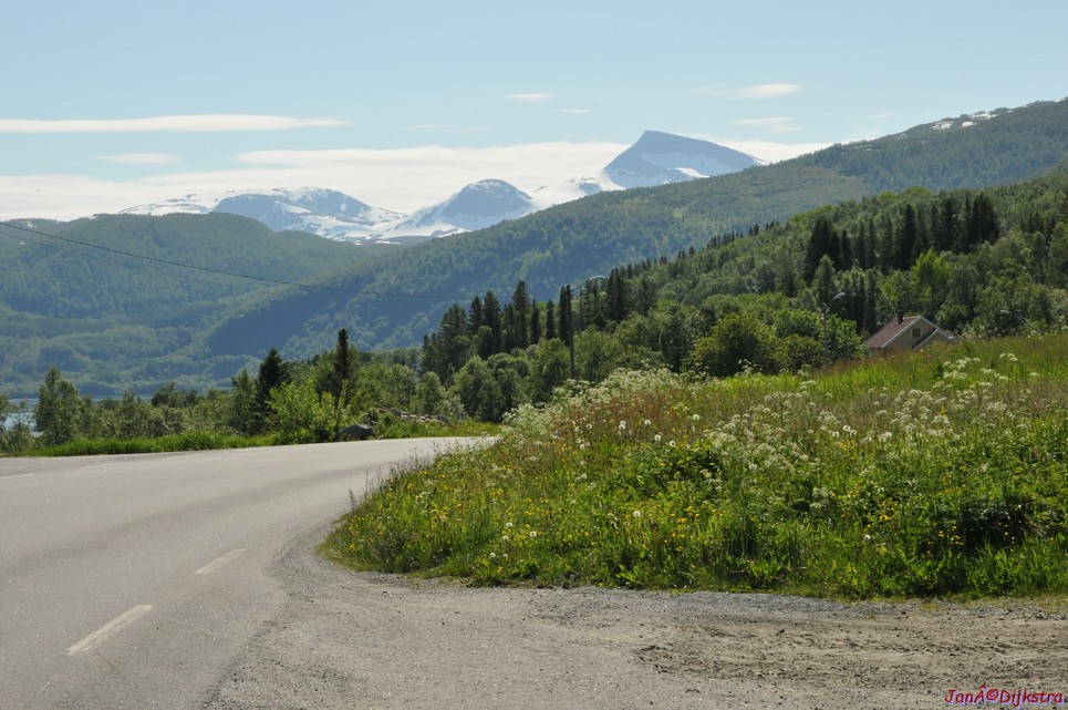 dsc_1963.jpg