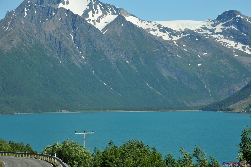 dsc_2006.jpg