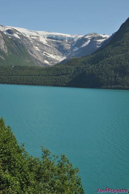dsc_2009.jpg