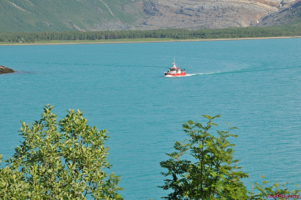 dsc_2013.jpg
