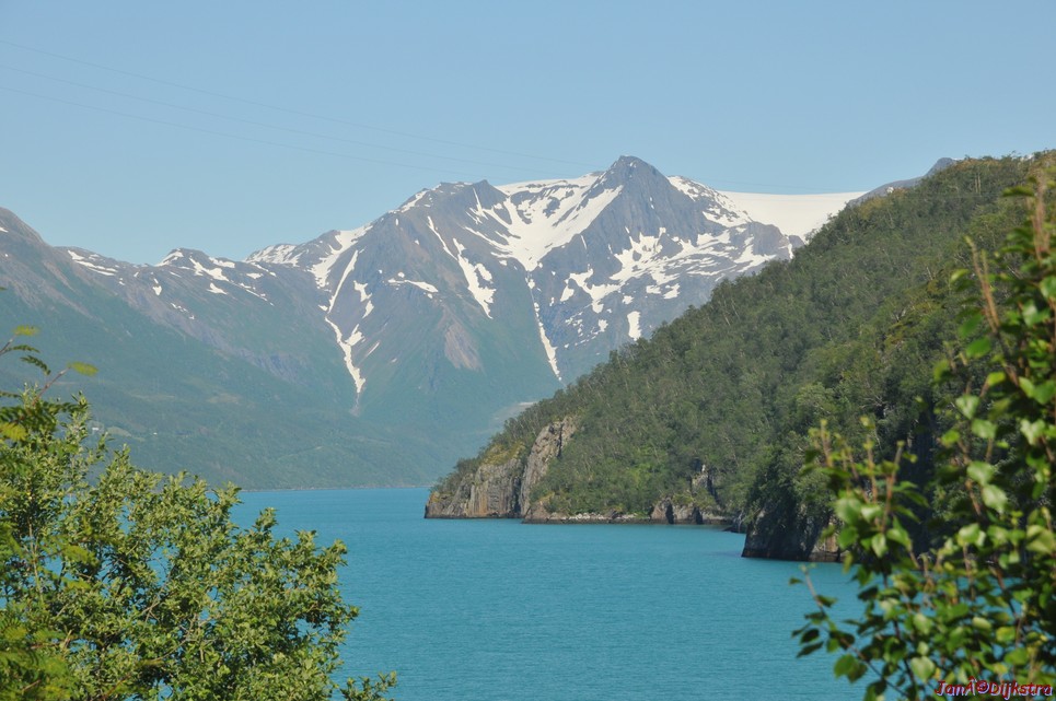 dsc_2017.jpg