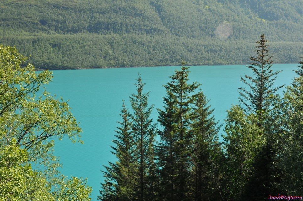dsc_2021.jpg