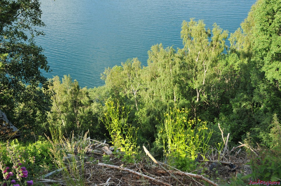dsc_2073.jpg