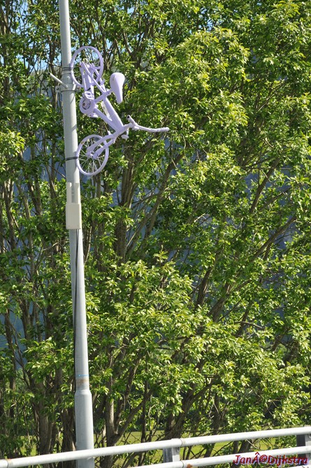 dsc_2094.jpg