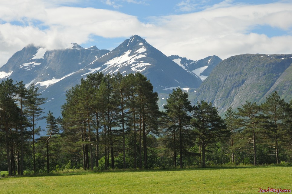 dsc_2102.jpg