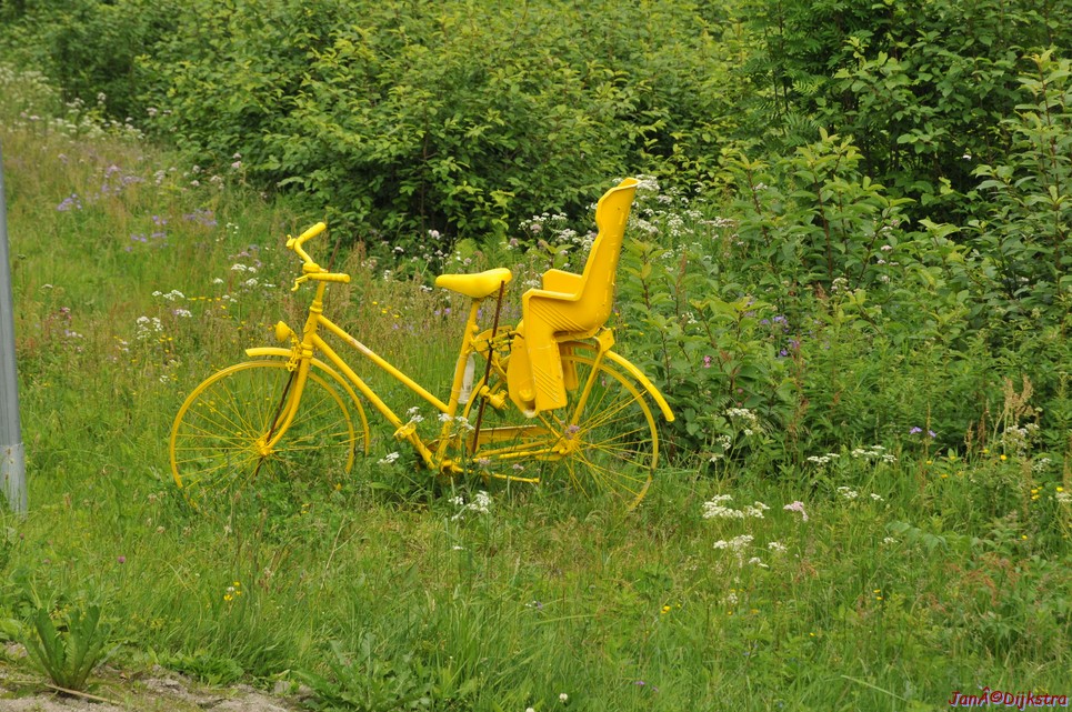 dsc_2118.jpg