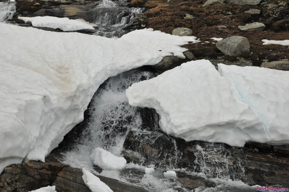 dsc_2205.jpg