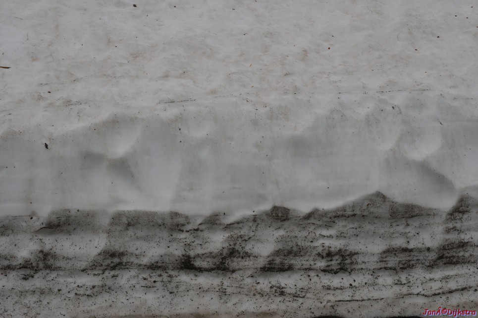 dsc_2276.jpg