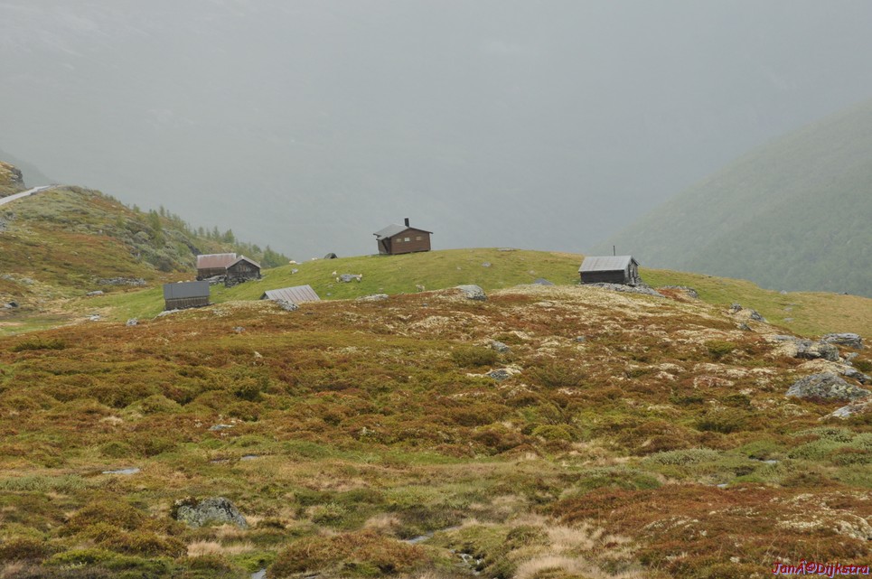 dsc_2281.jpg