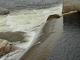 dsc_1899.jpg