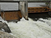 dsc_1900.jpg
