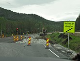 dsc_1907.jpg