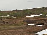 dsc_1931.jpg