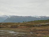 dsc_1932.jpg