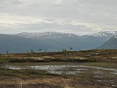 dsc_1933.jpg