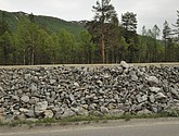 dsc_1953.jpg