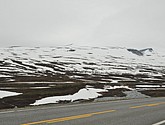 dsc_1954.jpg