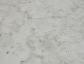 dsc_1958.jpg