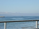 dsc_1977.jpg
