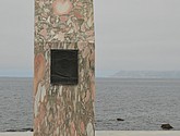 dsc_1991.jpg