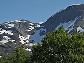 dsc_1994.jpg