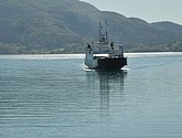 dsc_1996.jpg