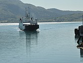 dsc_1997.jpg