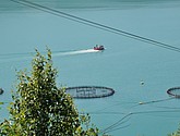 dsc_2002.jpg