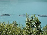 dsc_2004.jpg
