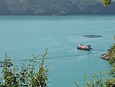 dsc_2005.jpg