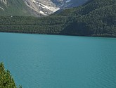 dsc_2009.jpg