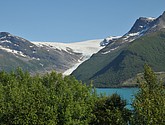 dsc_2010.jpg