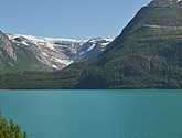 dsc_2011.jpg